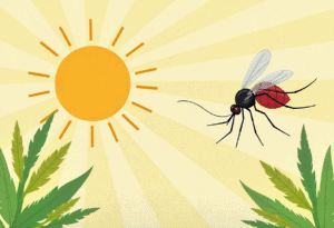 dengue-prevention-tips.pn